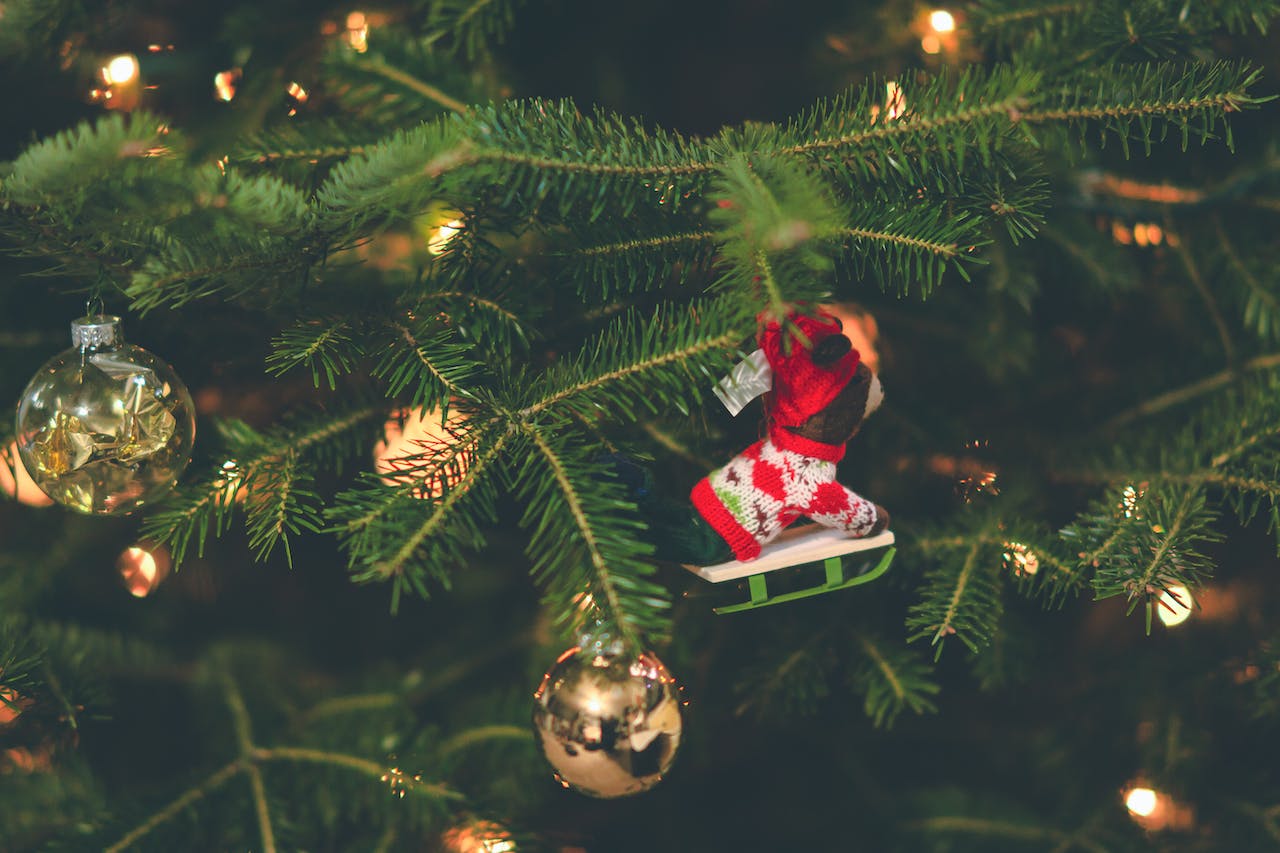 4 совета, как сохранить новогоднюю елку живой весь праздничный сезон