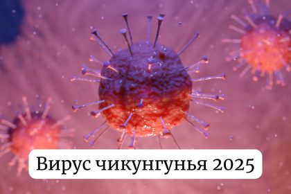 Вирус чикунгунья Китай 2025: симптомы, как передается и распространяется