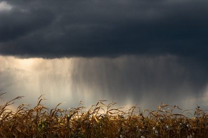 Погода на 18 сентября: дожди, ветер и постепенные прояснения
