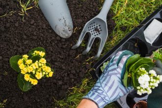 Посевной календарь на ноябрь 2025: когда и какие культуры можно сажать в саду и на огороде