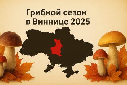 Грибные места в Виннице и Винницкой области: где искать и как собирать грибы осенью 2025