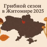 Грибные места в Житомире и Житомирской области: где искать и как собирать грибы осенью 2025