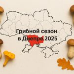 Грибные места в Днепре и Днепропетровской области: где искать и как собирать грибы осенью 2025