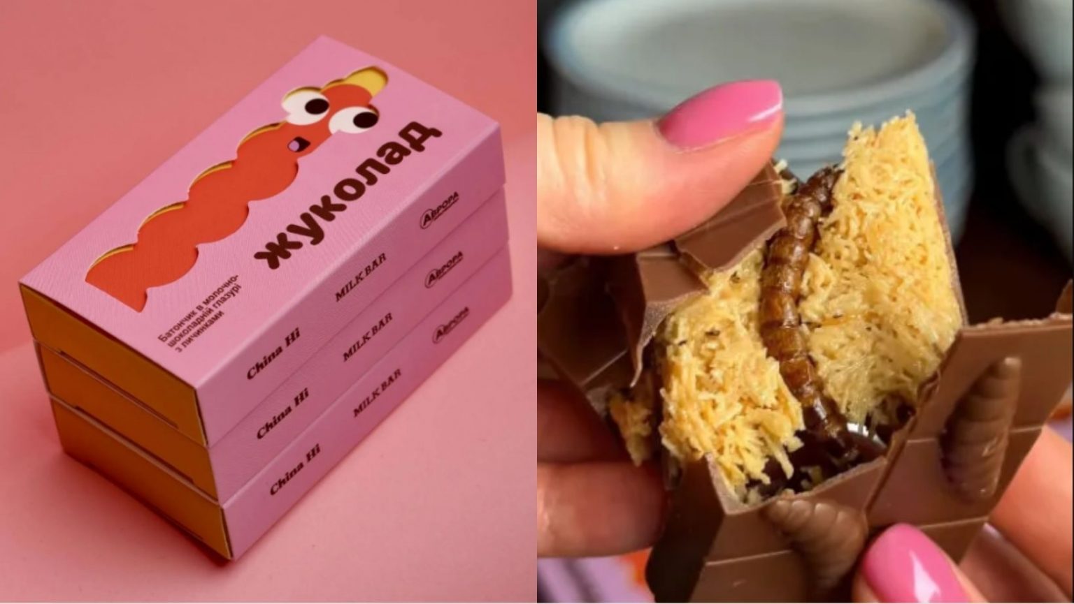 В Украине представили «Жуколад»: шоколадный батончик с личинками жуков — где купить и сколько стоит