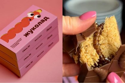 В Украине представили «Жуколад»: шоколадный батончик с личинками жуков — где купить и сколько стоит