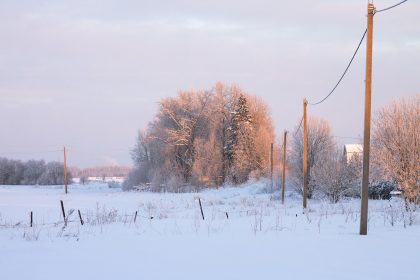 График отключений света Харьков 26 января 2026: где не будет электроэнергии сегодня