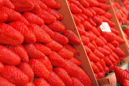 К чему снится красный цвет: значение и толкование сна из сонника