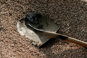 К чему снится лопата мужчине и женщине: значение и толкование сна из сонника