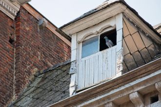К чему снится чердак мужчине и женщине: значение и толкование сна из сонника