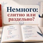 Не много или немного: как правильно пишется на русском