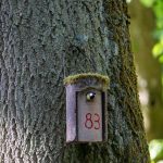 Число 83 в нумерологии: значение и влияние на любовь, карьеру и жизнь
