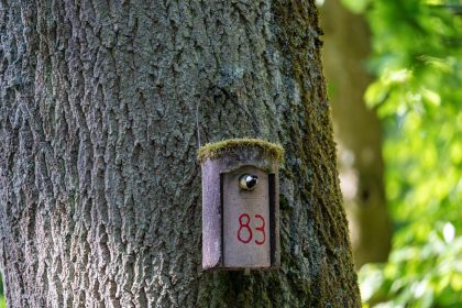 Число 83 в нумерологии: значение и влияние на любовь, карьеру и жизнь