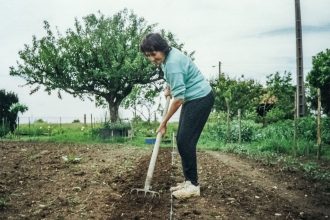 Нужно ли перекапывать огород осенью: когда перекопка почвы полезна, а когда от нее лучше отказаться