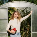 Чем обработать теплицу осенью от фитофторы и болезней: лучшие способы подготовки грунта и конструкции