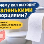 Почему кал выходит маленькими порциями: причины, на какие болезни указывает и что делать