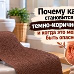 Темно-коричневый кал у взрослого: причины изменения цвета стула и когда нужно обратиться к врачу